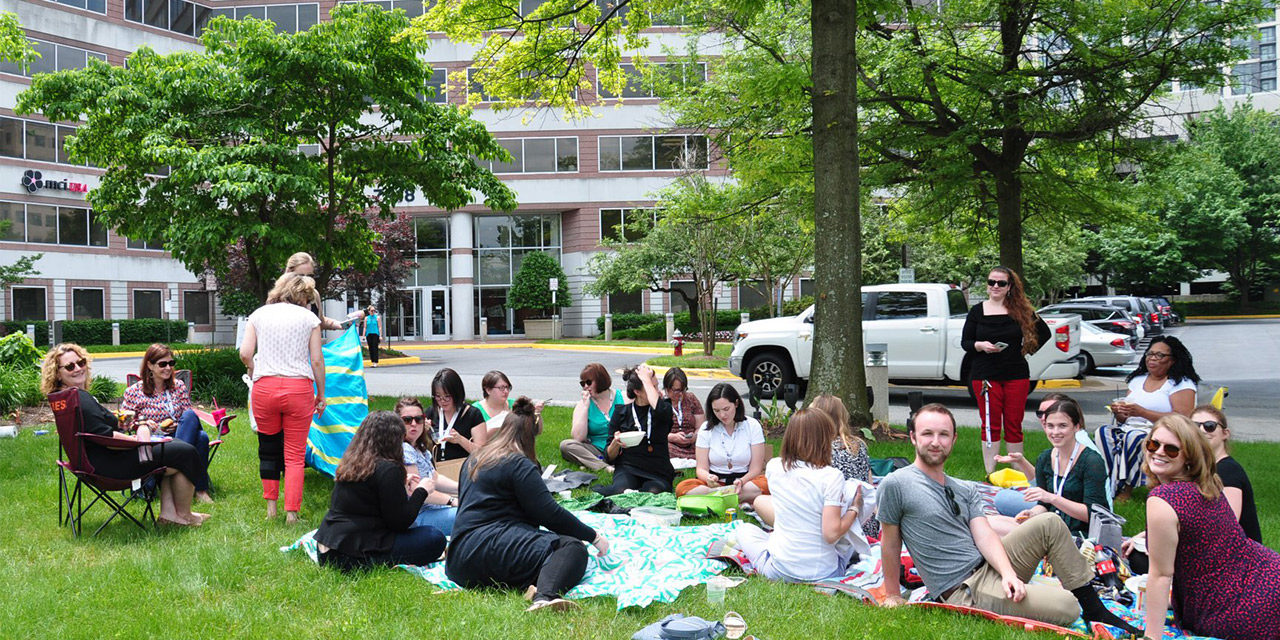 The Perfect Picnic