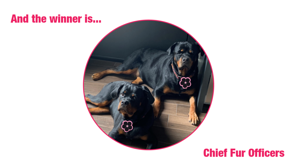 Meet the Mascot: The Chief Fur Officers