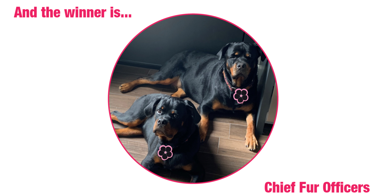 Meet the Mascot: The Chief Fur Officers