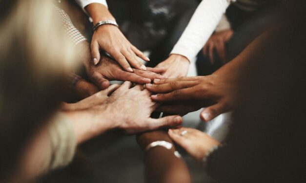 Sustainability Champion’s Spotlight: Highlighting Diversity, Equity, Inclusion and Belonging