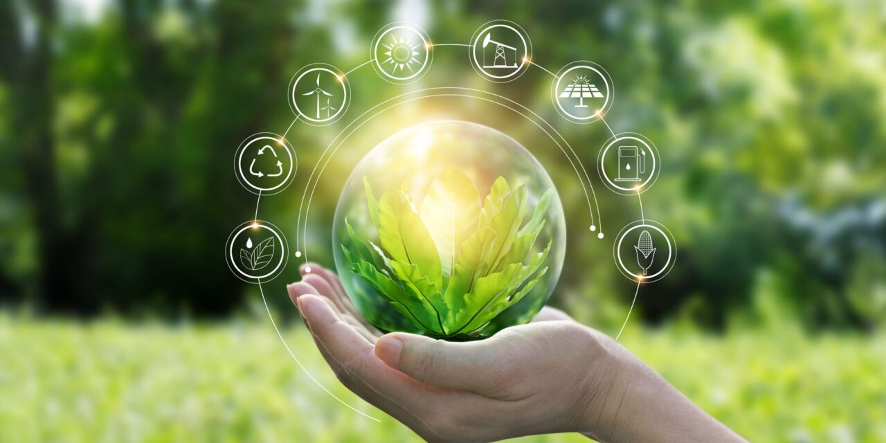 Sustainability Champions spotlight: Environmental impact