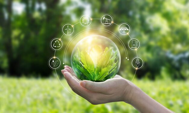 Sustainability Champions spotlight: Environmental impact